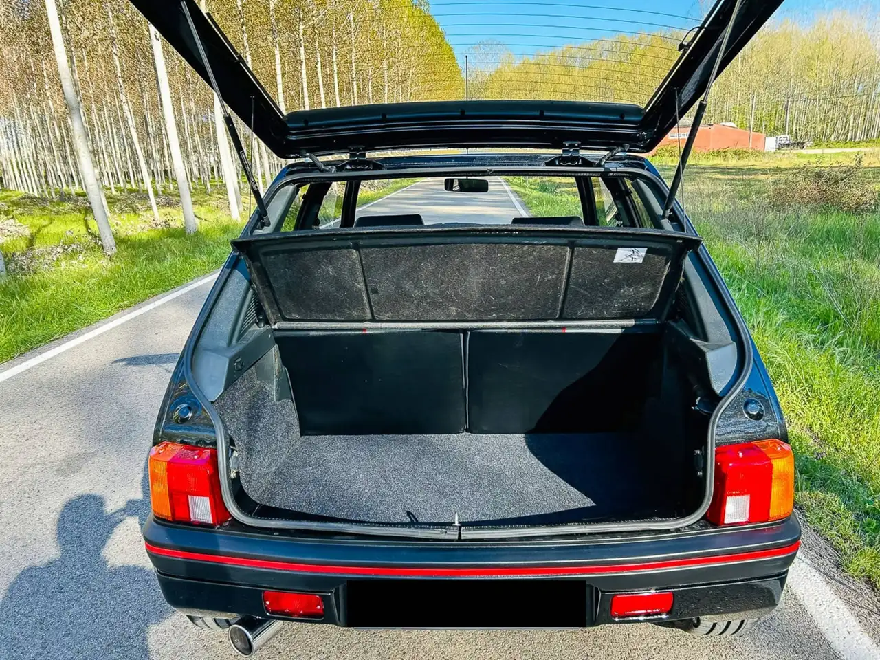 Peugeot 205 GTI, foto 5