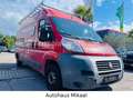 Fiat Ducato Grossr.-Kasten 33 120  L4 Rojo - thumbnail 6