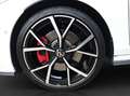 Volkswagen Golf GTI DSG IQ.LIGHT NAVI PANORAMA ST.HEIZ LM19 Weiß - thumbnail 7