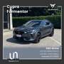CUPRA Formentor 2.0 TDI DSG 4Drive 110KW/150CV Blu/Azzurro - thumbnail 1