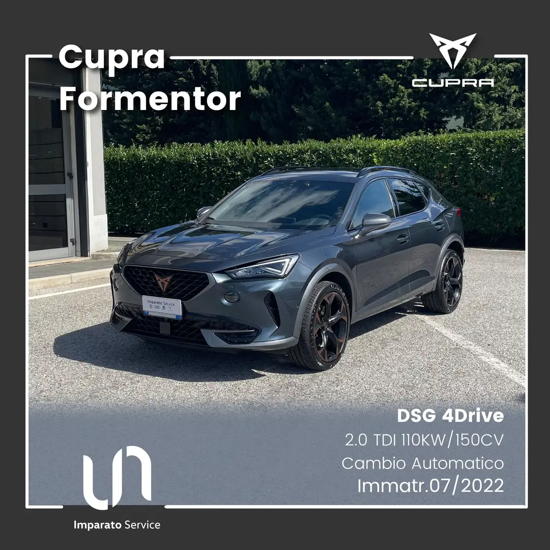 CUPRA Formentor 2.0 TDI DSG 4Drive 110KW/150CV Blu/Azzurro - 1