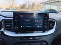 Kia XCeed XCeed 2019 1.6 crdi Style 115cv Grau - thumbnail 11