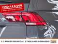 Volkswagen Tiguan 1.5 tsi life 150cv Gris - thumbnail 15