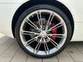 Aston Martin DB9 Volante 6.0 Touchtronic Blanco - thumbnail 26
