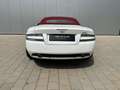 Aston Martin DB9 Volante 6.0 Touchtronic Blanco - thumbnail 7