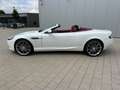 Aston Martin DB9 Volante 6.0 Touchtronic Blanco - thumbnail 34