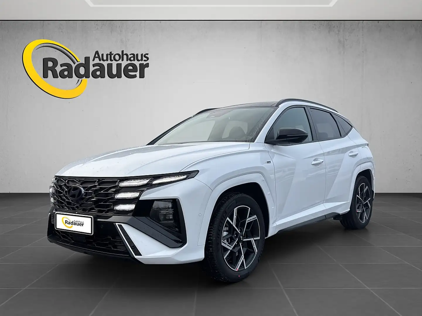 Hyundai TUCSON Tucson 1,6 T-GDI PHEV 4WD N-Line Aut.Aktion Pre... Weiß - 1