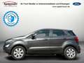Ford EcoSport Cool & Connect 8 FACH PDC DAB SHZ Grau - thumbnail 2