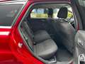 Ford Focus Turnier Ambiente Rot - thumbnail 24