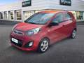 Kia Picanto 1.0 12V 5 porte City Rosso - thumbnail 1