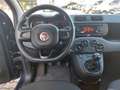 Fiat Panda 1.2 69cv E6D Easy con 5 posti Blu/Azzurro - thumbnail 9
