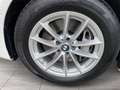 BMW 530 d TOURING HEAD-UP DAB MEMORY AMBIENTE ALU 17" Blanc - thumbnail 12