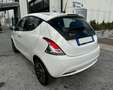 Lancia Ypsilon 1.0 FireFly Hybrid Alberta Ferretti Bianco - thumbnail 7