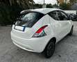 Lancia Ypsilon 1.0 FireFly Hybrid Alberta Ferretti Bianco - thumbnail 6