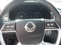 SsangYong Rexton 2.2 Diesel Sapphire 4WD AT Anhängerkuppl. Grau - thumbnail 9