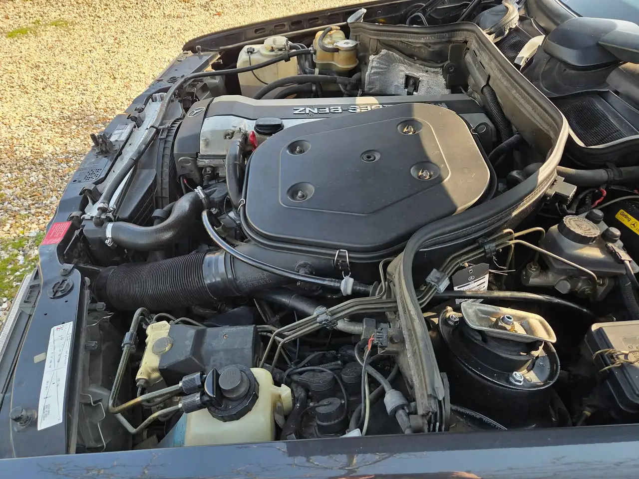 Mercedes-Benz CE 300 300 CE 24 Sportline, foto 3