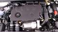 Opel Corsa F Diesel (F) 1.5 Edition 102 PS Weiß - thumbnail 20