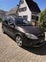 Skoda Roomster Scout Plus Edition Braun - thumbnail 5