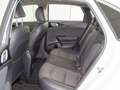Kia 1.0 T-GDI 88KW TECH 120 5P Blanco - thumbnail 19