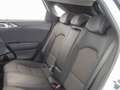 Kia 1.0 T-GDI 88KW TECH 120 5P Blanco - thumbnail 18