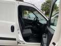 Fiat Doblo 1.6 MJT 105CV S&S PL-TN Cargo Maxi€13900+ IVA Bianco - thumbnail 8