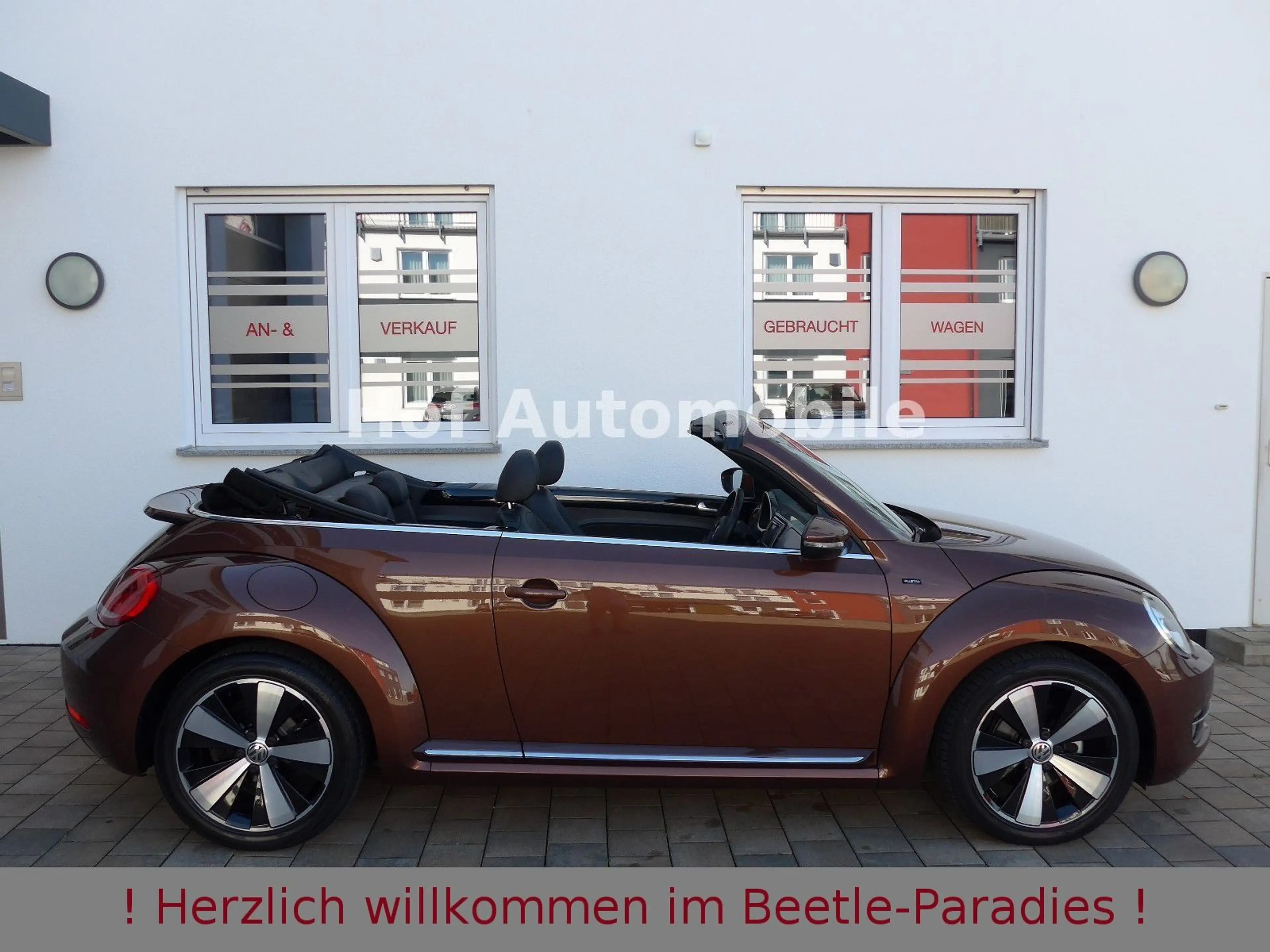 Volkswagen Beetle 1.4TSI Allstar-Plus Xenon Leder Navi 1.HD — photo 3