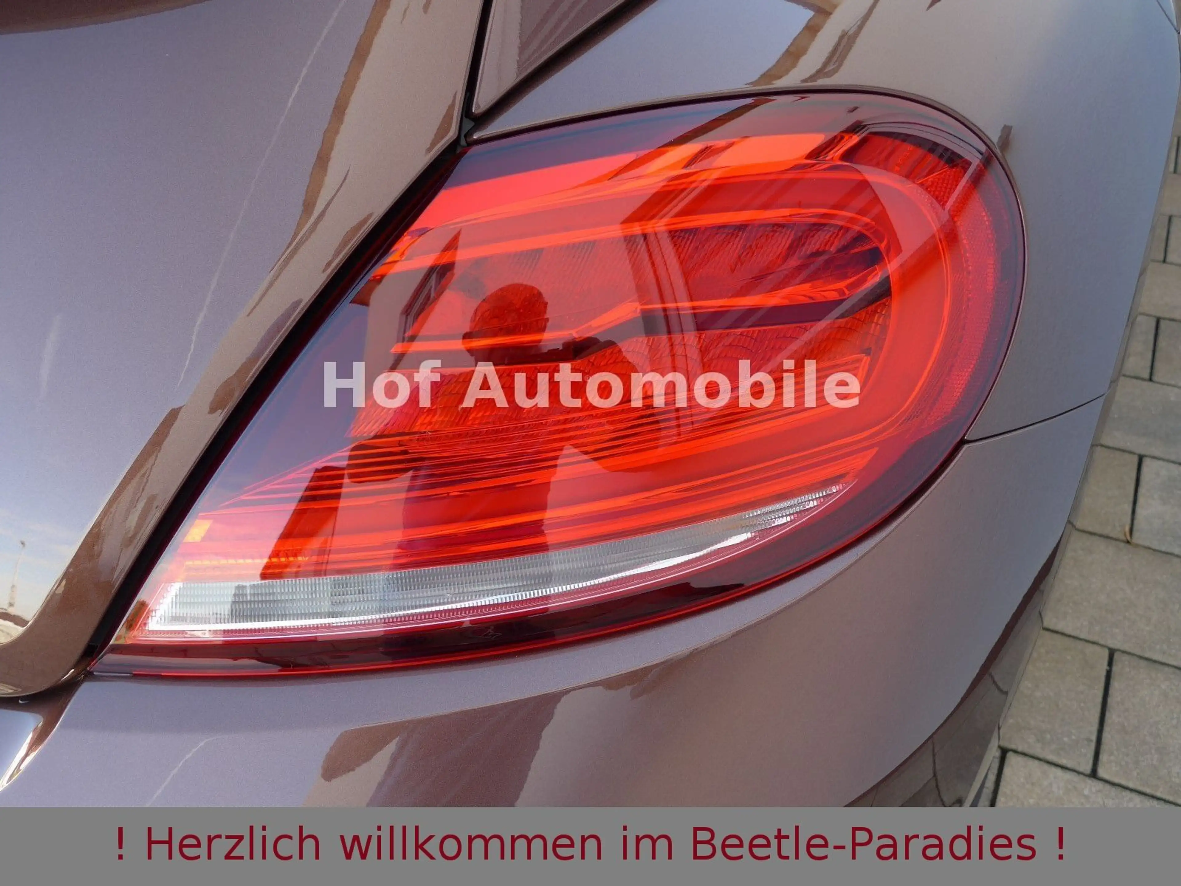 Volkswagen Beetle 1.4TSI Allstar-Plus Xenon Leder Navi 1.HD — photo 15