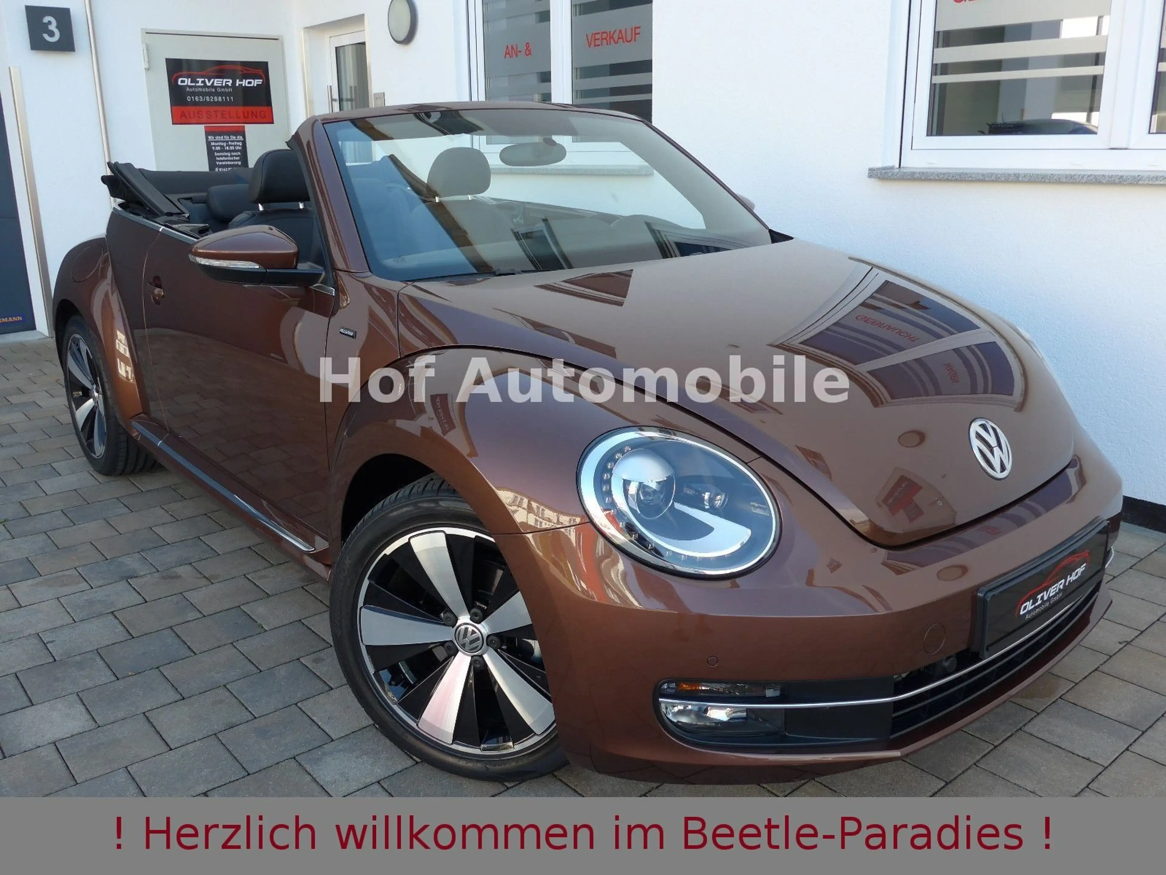 Volkswagen Beetle 1.4TSI Allstar-Plus Xenon Leder Navi 1.HD