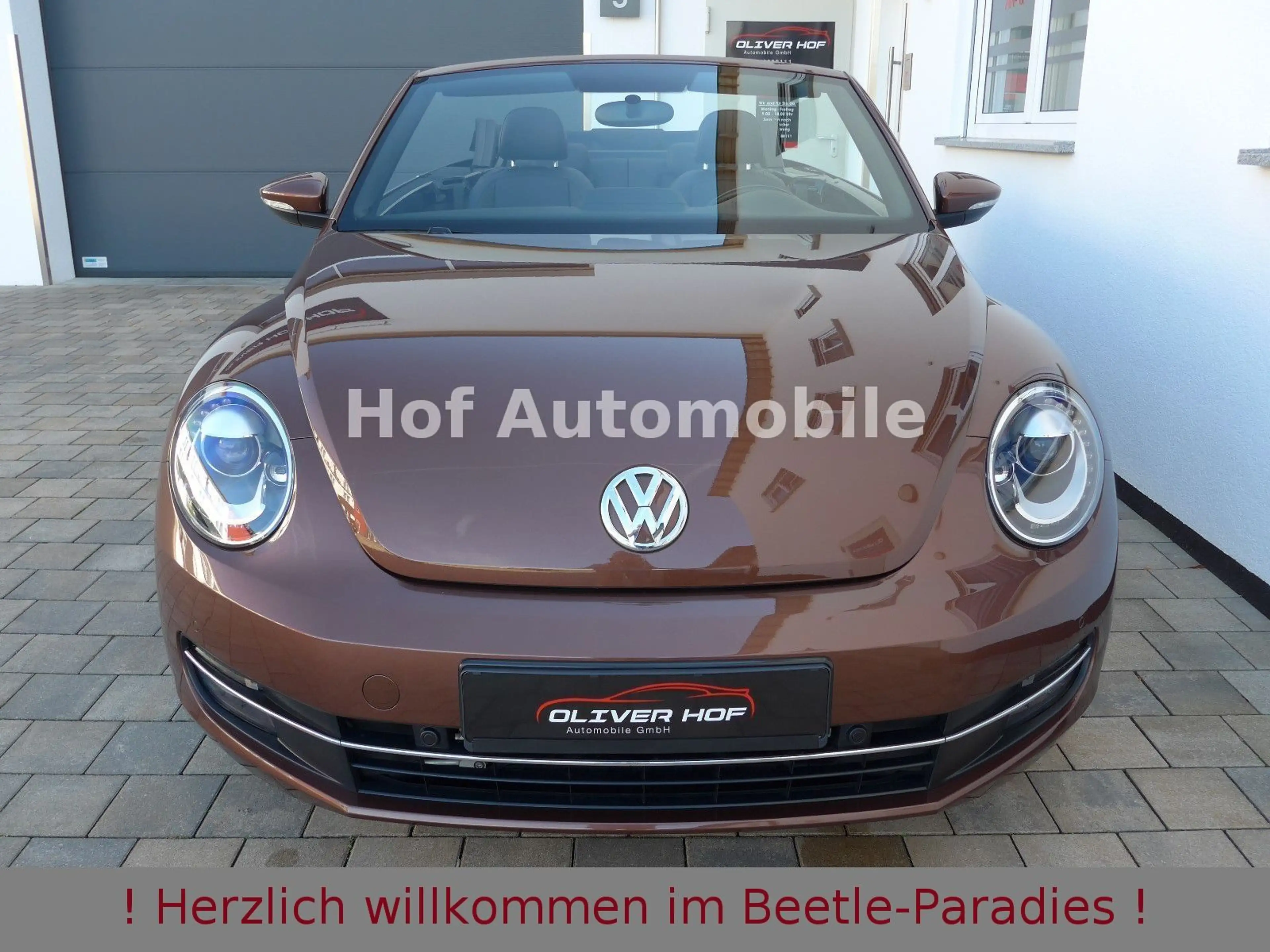 Volkswagen Beetle 1.4TSI Allstar-Plus Xenon Leder Navi 1.HD — photo 5