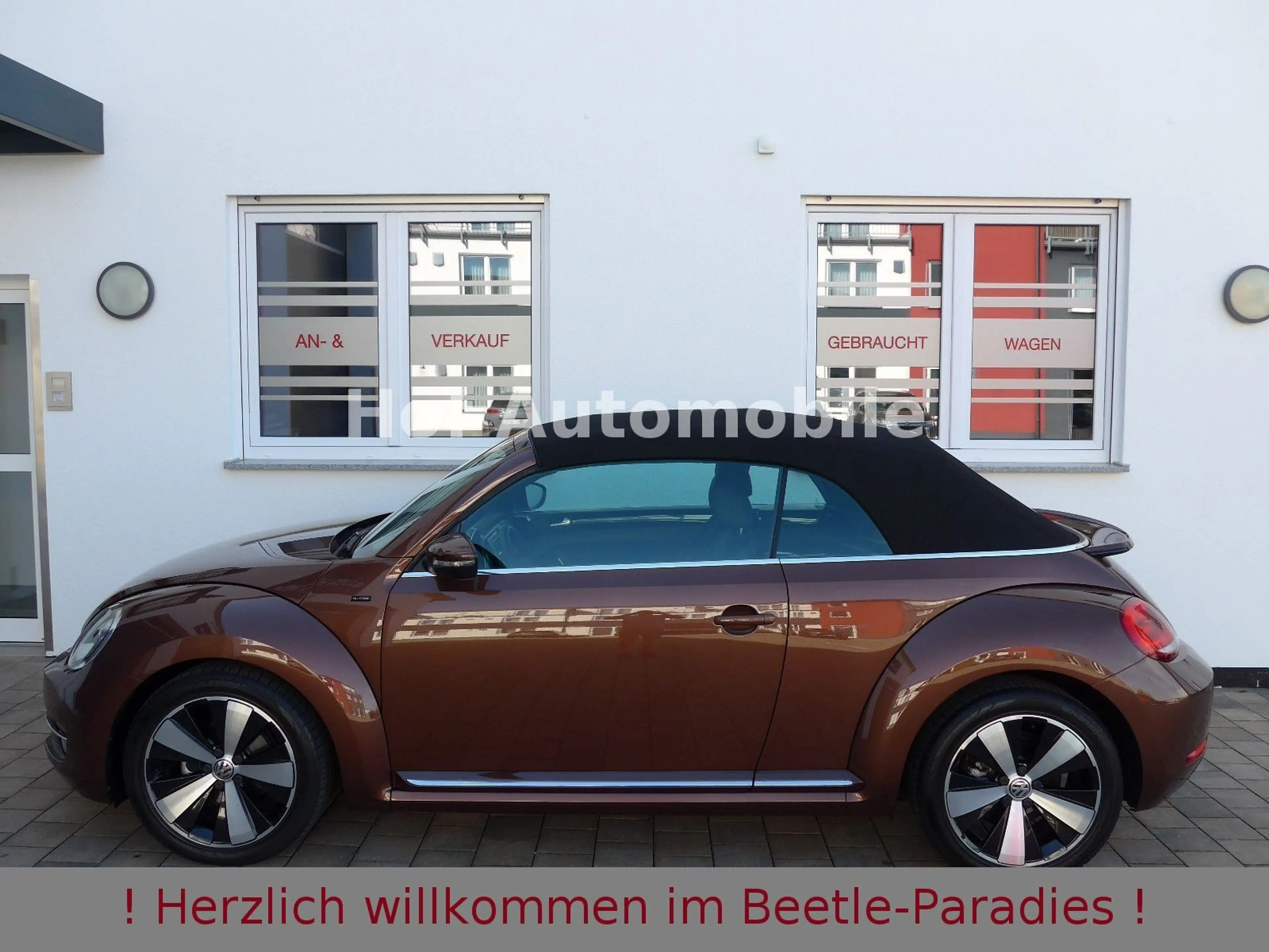 Volkswagen Beetle 1.4TSI Allstar-Plus Xenon Leder Navi 1.HD — photo 8