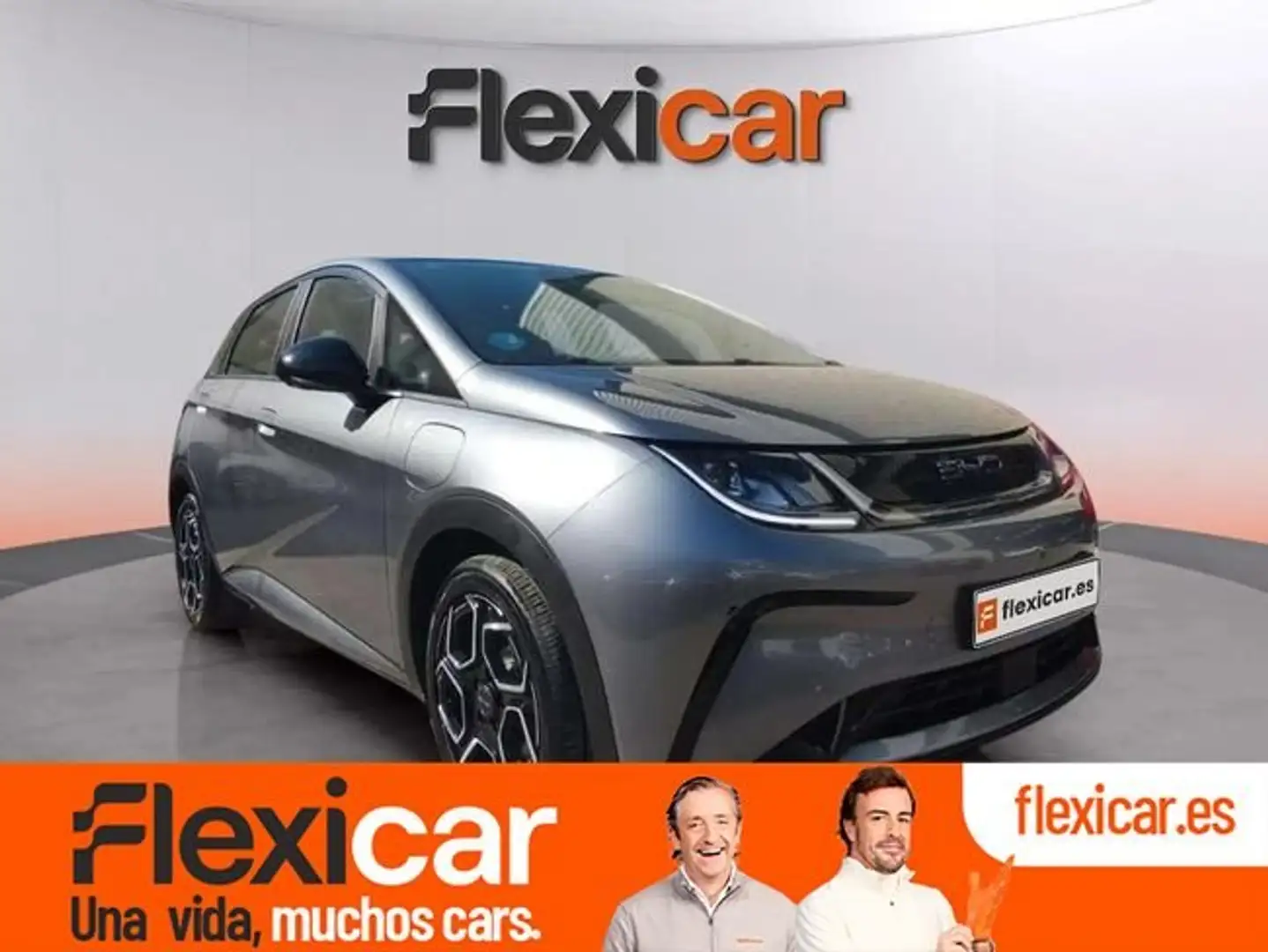 BYD Dolphin Design Gris - 1