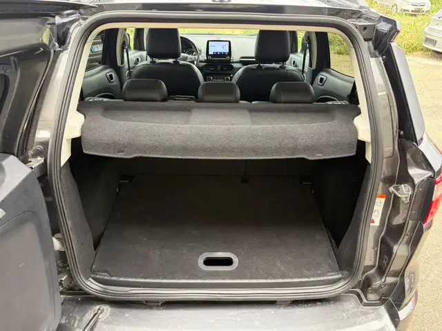 Ford Ecosport view 10
