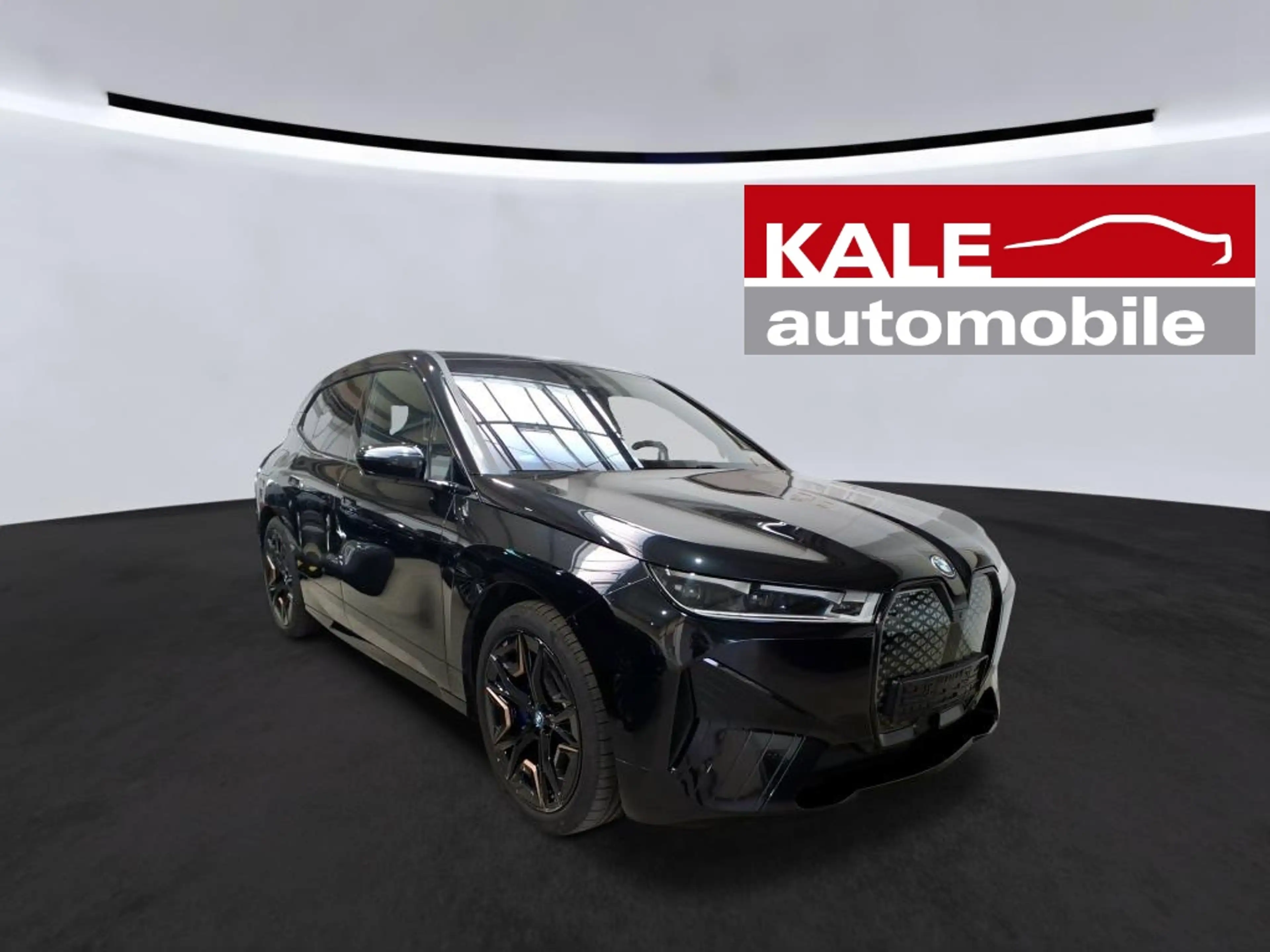 BMW iX xDrive40 Sport *22Zoll*LASER*SoftClose*360*H&K*DrivAssist*