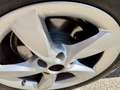 Audi A5 40 TDI sport s-tronic Grau - thumbnail 14