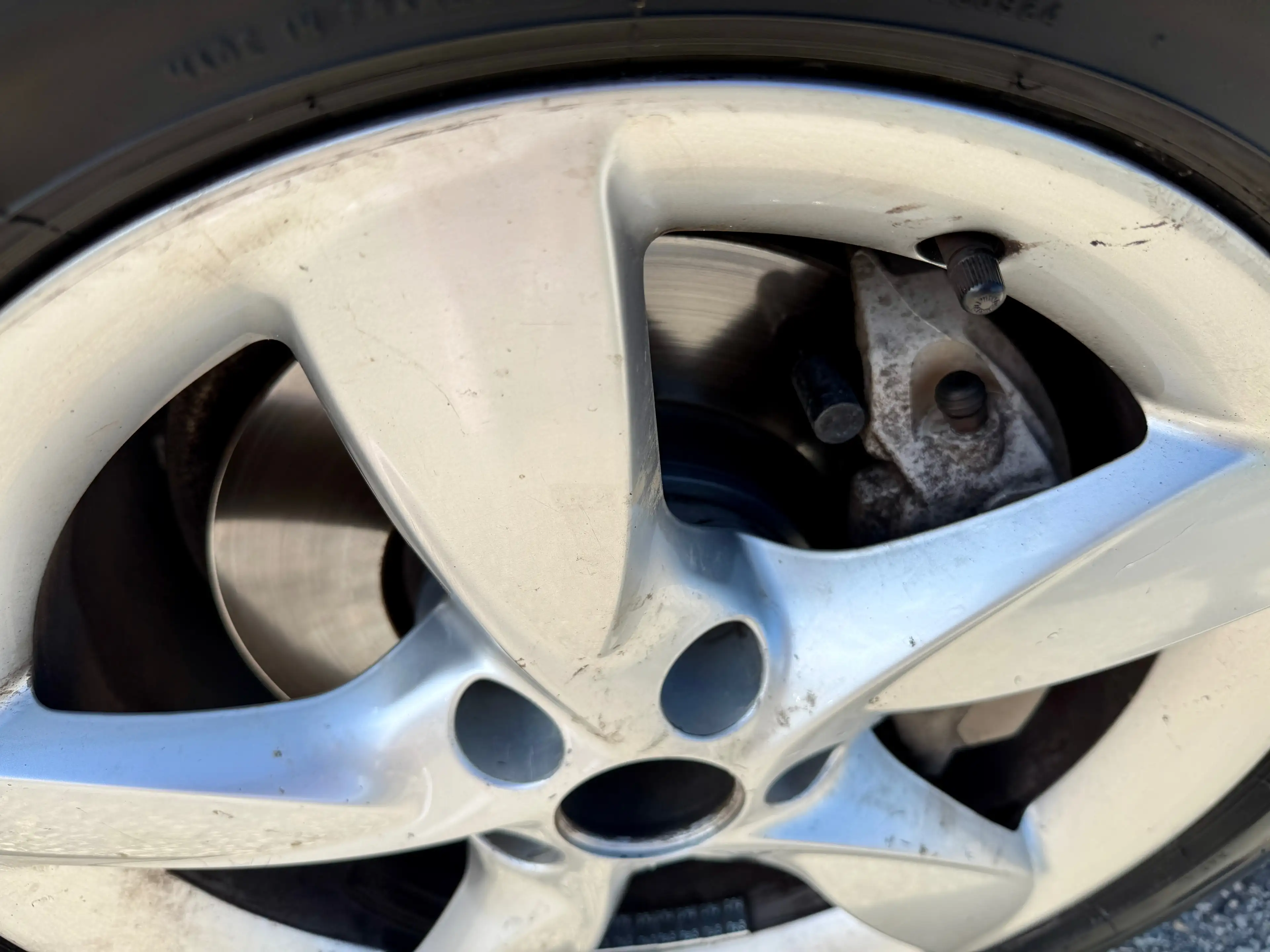 Audi A5 40 TDI sport s-tronic — photo 7