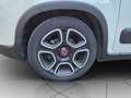 Fiat New Panda Panda 1.0 firefly hybrid City Life s&s 70cv 5p.ti Weiß - thumbnail 5