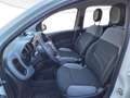 Fiat New Panda Panda 1.0 firefly hybrid City Life s&s 70cv 5p.ti Weiß - thumbnail 7