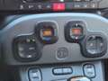 Fiat New Panda Panda 1.0 firefly hybrid City Life s&s 70cv 5p.ti Weiß - thumbnail 12
