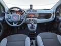 Fiat New Panda Panda 1.0 firefly hybrid City Life s&s 70cv 5p.ti Weiß - thumbnail 9