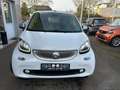 smart forTwo smart fortwo  cabrio passion Weiß - thumbnail 2