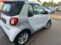 smart forTwo smart fortwo  cabrio passion Weiß - thumbnail 8