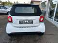 smart forTwo smart fortwo  cabrio passion Weiß - thumbnail 7