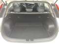 Kia Niro Kia Niro Hybrid Drive 1.6 - thumbnail 13