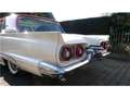 Ford Thunderbird 58er Coupe Blanc - thumbnail 13