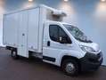 Fiat DUCATO**TIEFKÜHL-20*AUT=KLIMA=THERMOKING=SHZ=E6 Weiß - thumbnail 5