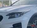 Kia XCeed Vision DCT Navi Komfortpaket LED Rückfahr Apple Ca Weiß - thumbnail 5