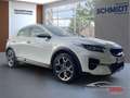 Kia XCeed Vision DCT Navi Komfortpaket LED Rückfahr Apple Ca Weiß - thumbnail 2