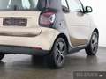 smart forTwo smart EQ fortwo Exclusive Plus+22kW+Kamera+Winter Beige - thumbnail 4