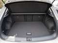 Volkswagen T-Roc 1.0 TSI Life KLIMA PDC SHZ FACELIFT LED Gris - thumbnail 15