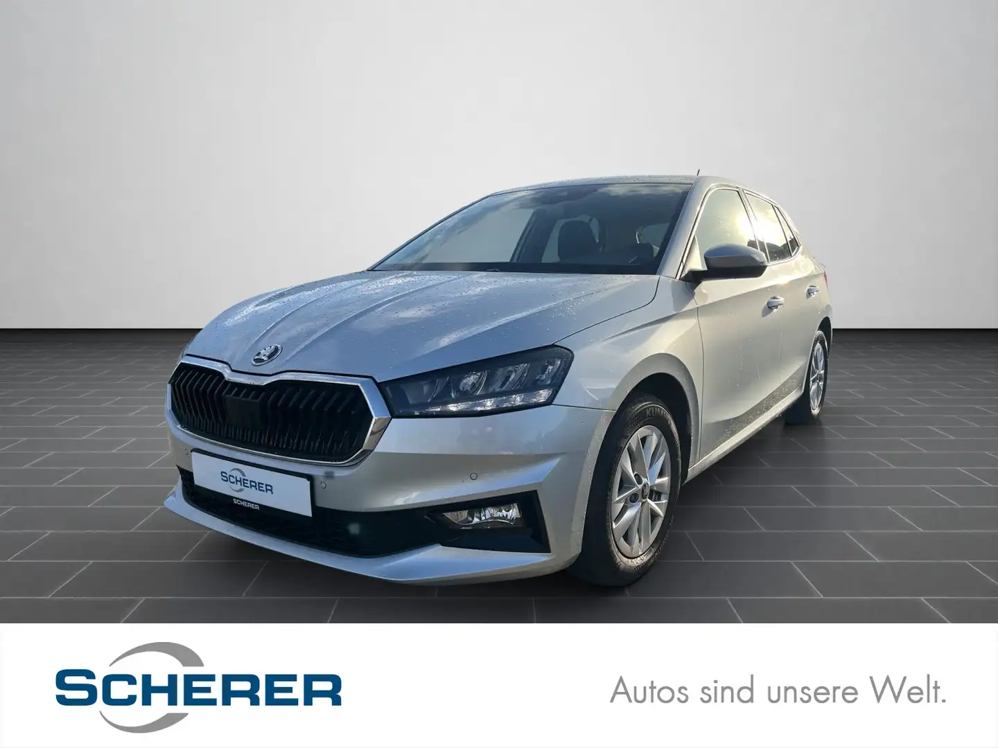 Skoda Fabia 1.0 TSI *Selection* RFK SHZ Kessy VK-Erken Silber - 1